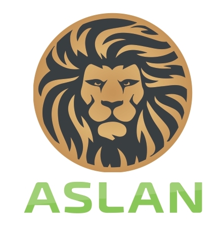 Бензин А-95 (Євро 5), ASLAN, картка